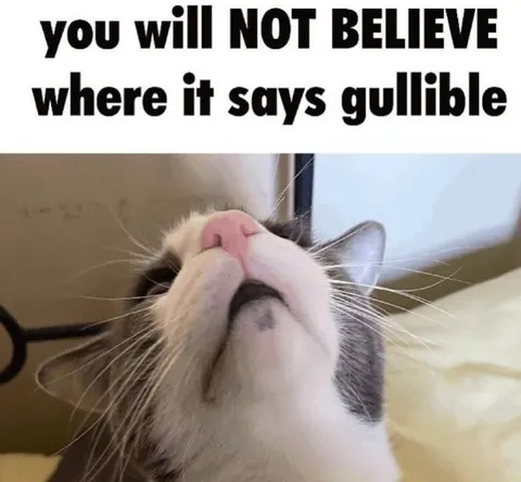 You Will Not Believe Gullible