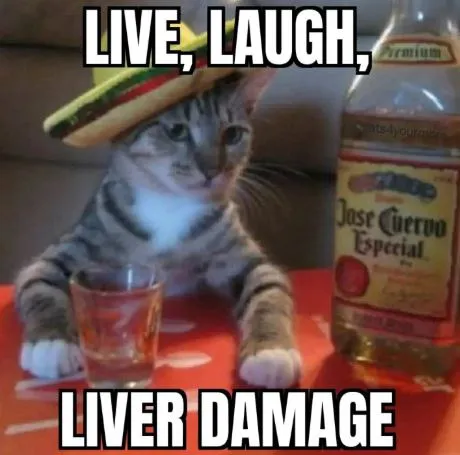 Live Laugh Liver Damage Cat
