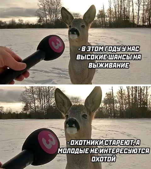 Олень о шансах на выживание