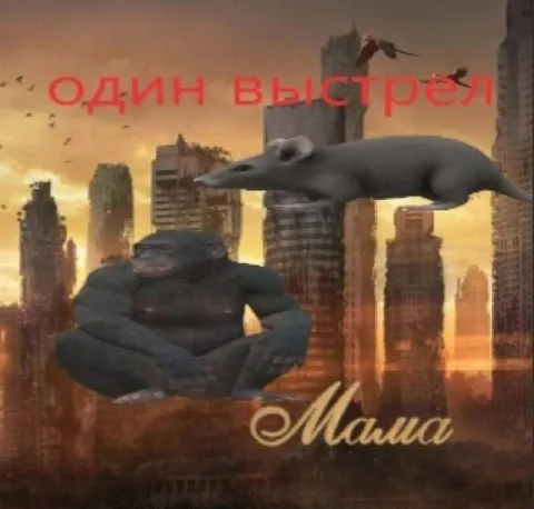 Один выстрел Маша