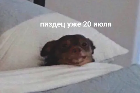 Пиздец уже 20 июля