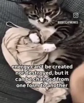 Cat Converts Energy Into Chaos