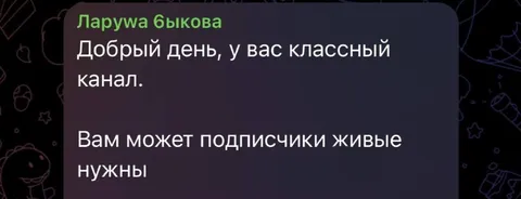 Живые подписчики нужны