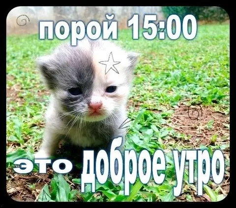 Порой 15:00 — доброе утро
