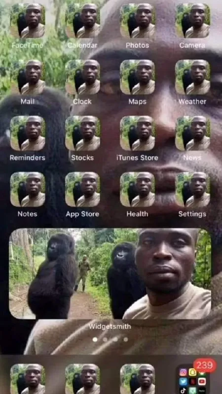 Gorilla iPhone Home Screen