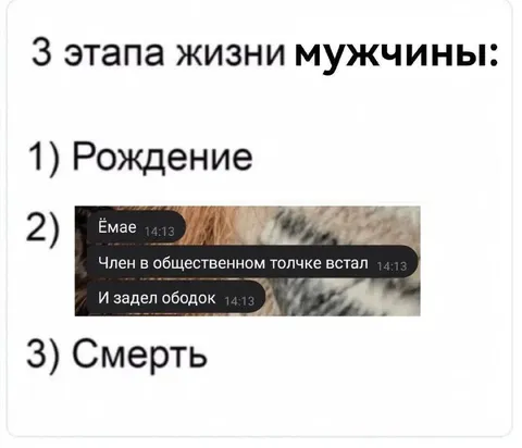 Три этапа жизни мужчины