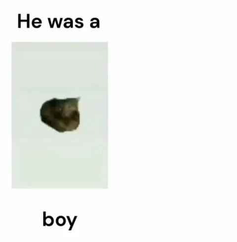 He Was a Boy, She Was a Girl