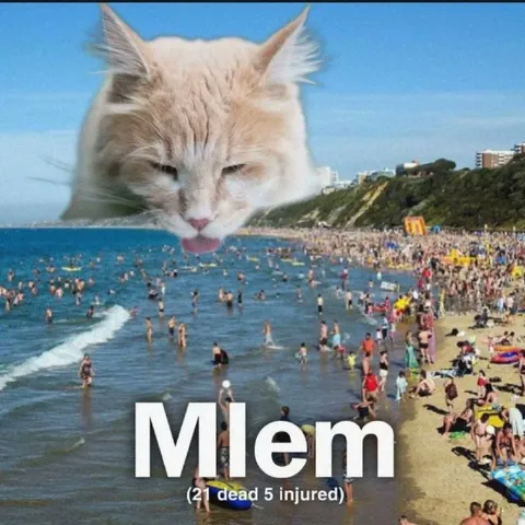 Giant Cat Causes Beach Disaster