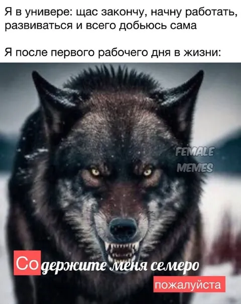 После первого рабочего дня