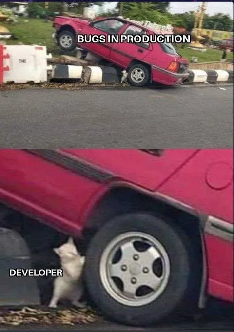 Bugs in Production Developer