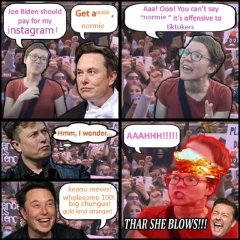Normie TikToker Explosion