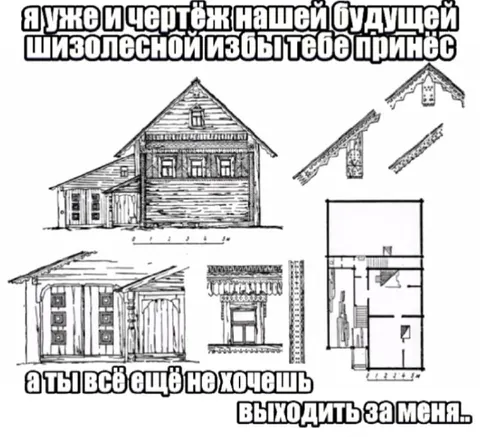 Чертёж шизолесной избы