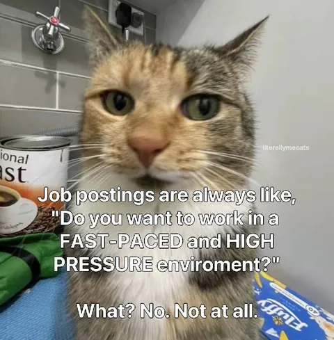 Job Postings High Pressure Environment