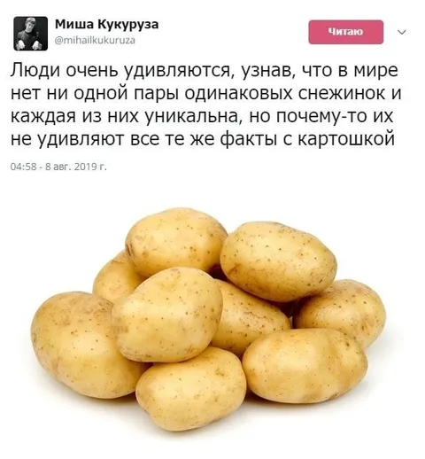 Уникальные снежинки и одинаковая картошка