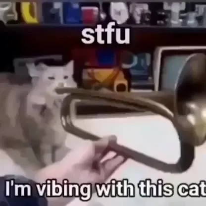 Vibing With This Cat