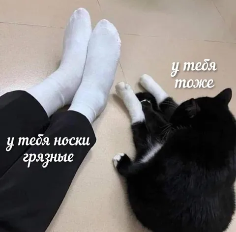 У тебя носки грязные