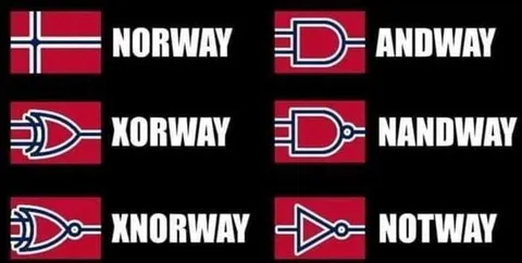 Norway Logic Gate Flags
