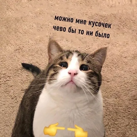 Можно мне кусочек чего бы то ни было