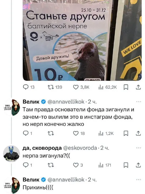 Нерпа зиганула и стала другом