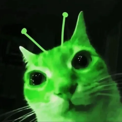 Кот-инопланетянин в шоке