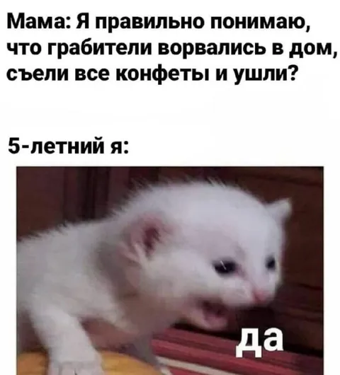 Пятилетний воришка конфет