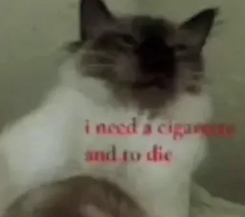 Cat Makes a Stupid Joke