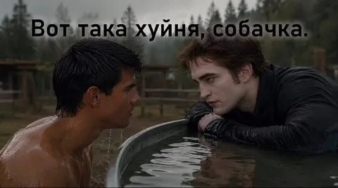 Вот такая хуйня, собачка