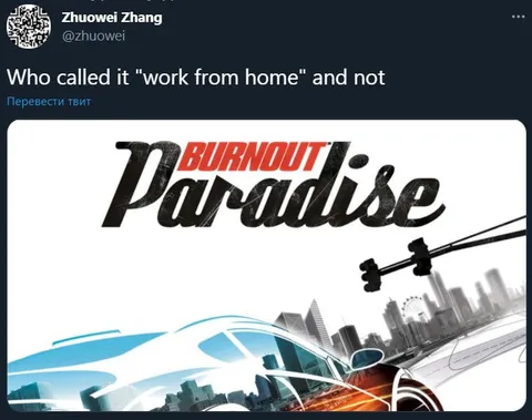 Work From Home Paradise