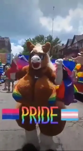 Pride Parade Horse Mascot