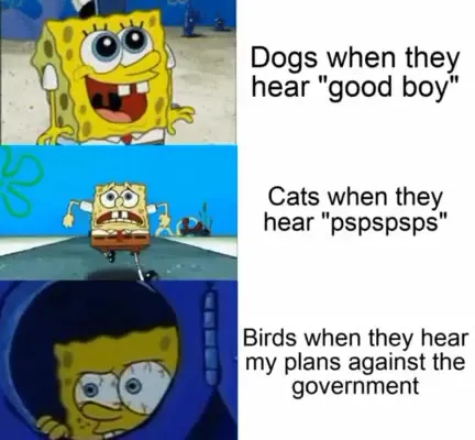 Birds Hear Government Plans