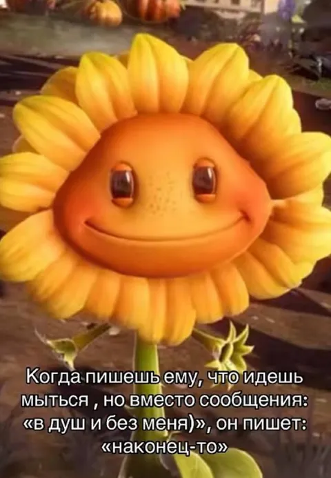 Когда он дождался душа