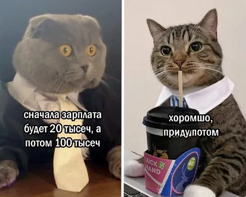 Сначала зарплата 20 тысяч