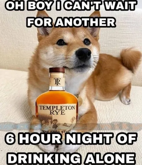 Dog's Six-Hour Drinking Night