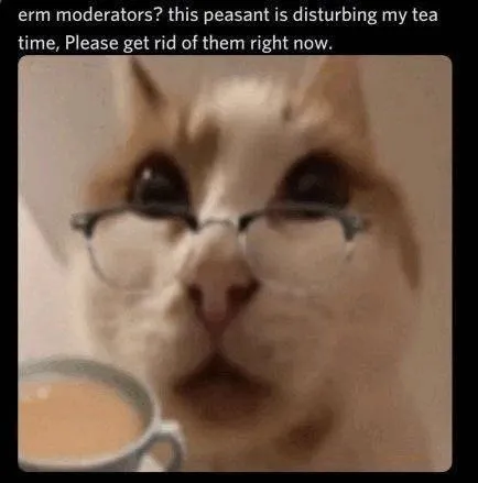 Cat Complains About Tea Time