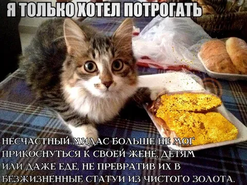 Кот хотел потрогать золотой хлеб