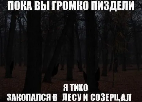 Пока вы громко пиздели