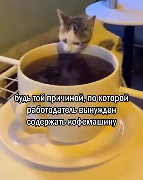 Кот мешает работе кофемашины