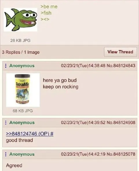 Fish Gets a Treat