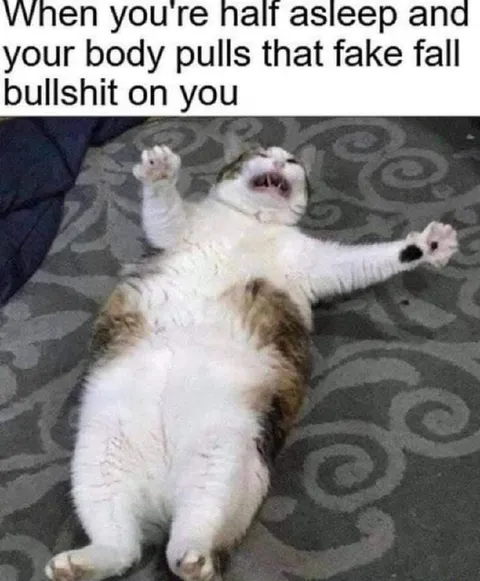 Half-Asleep Fake Fall