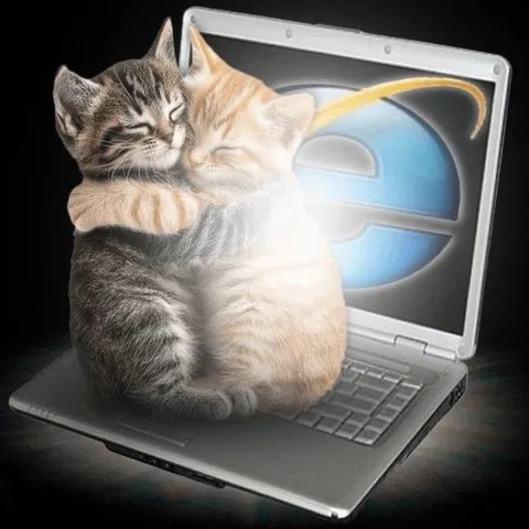 Котики обнимаются на ноутбуке