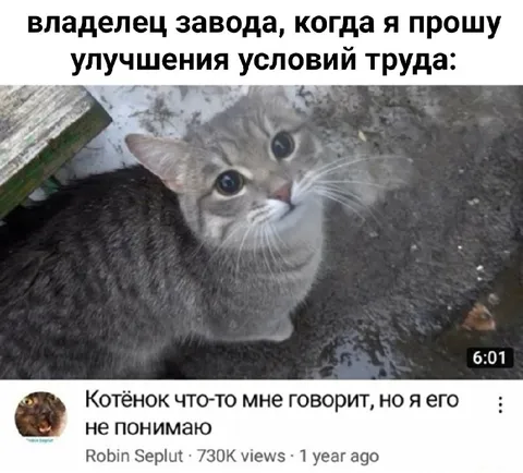 Владелец завода и котёнок