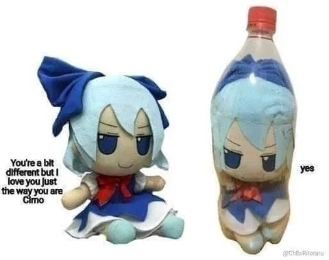 Different but Loved Cirno