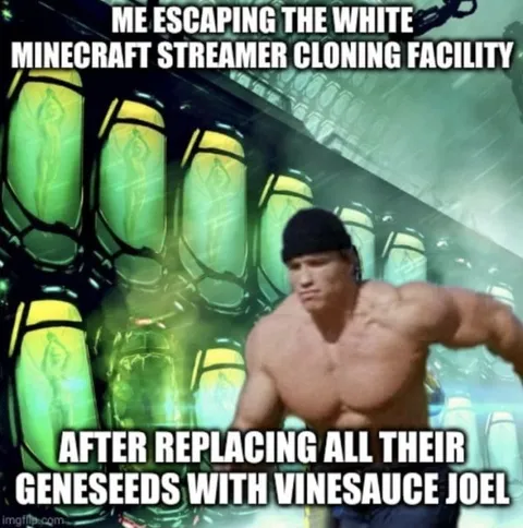 Escaping the Minecraft Streamer Cloning Facility
