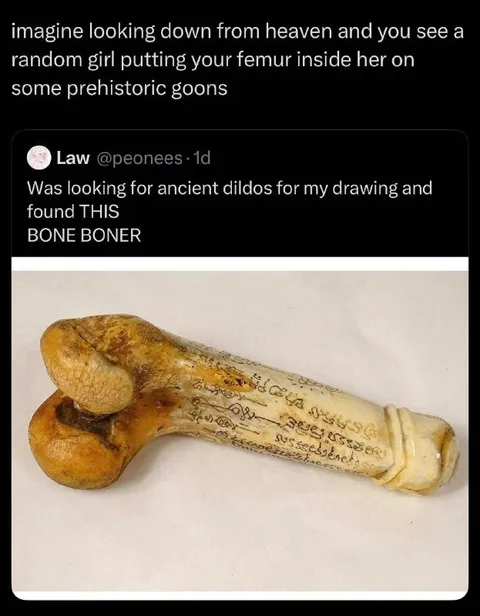 Bone Boner Ancient Artifact