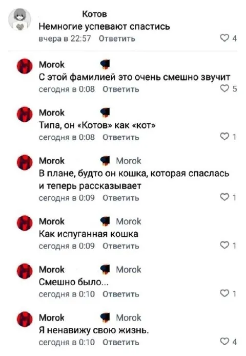 Котов как спасшаяся кошка
