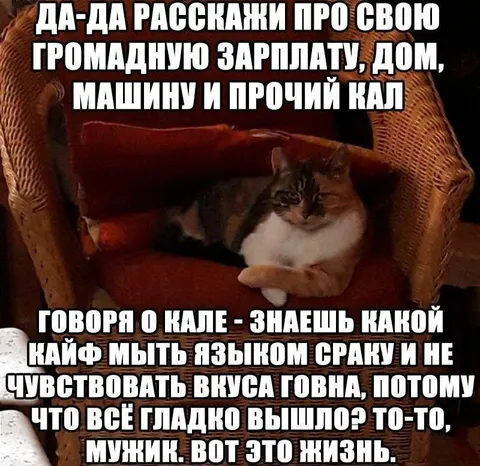 Кот рассказывает о своей зарплате