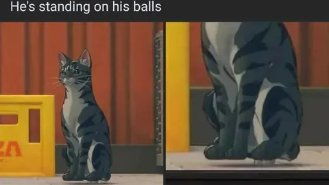 Cat Standing on His Balls