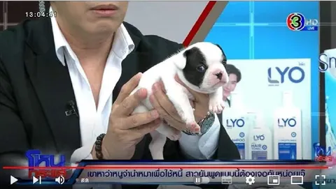 ลูกหมาน้อยในรายการทีวี