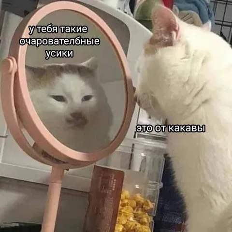 Очаровательные усы от какавы