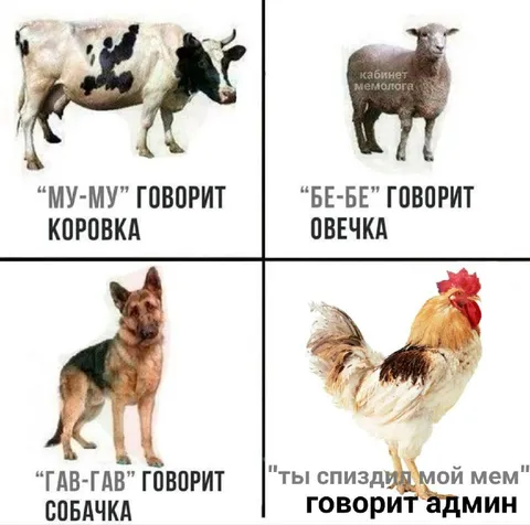 Админ украл мой мем